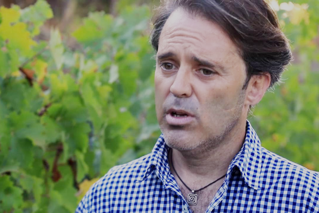 Bodegas y Viñedos de Cal Grau